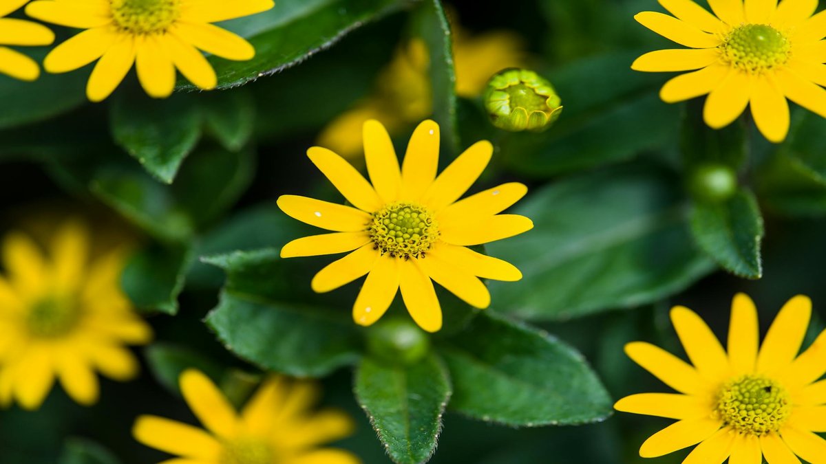 Organiser un séminaire d'entreprise à l'hôtel : le guide pour trouver le lieu idéal